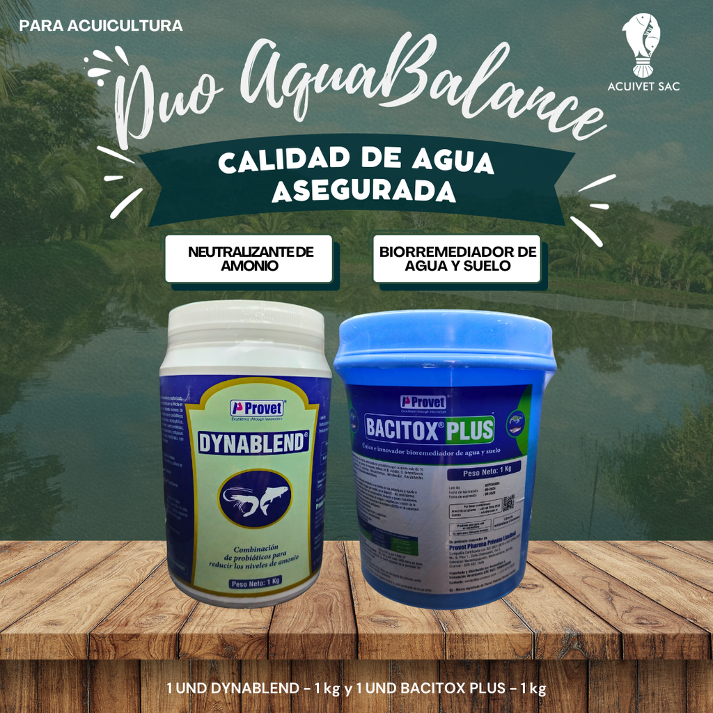 COMBO AQUA BALANCE 