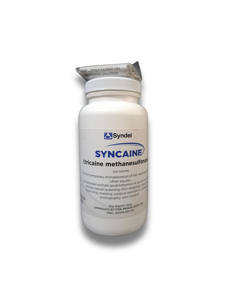 SYNCAINE