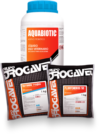 [COMB05] SUPERTRIO BROTE