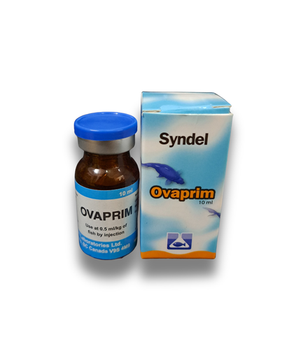 [OVA] OVAPRIM (SYNDEL)