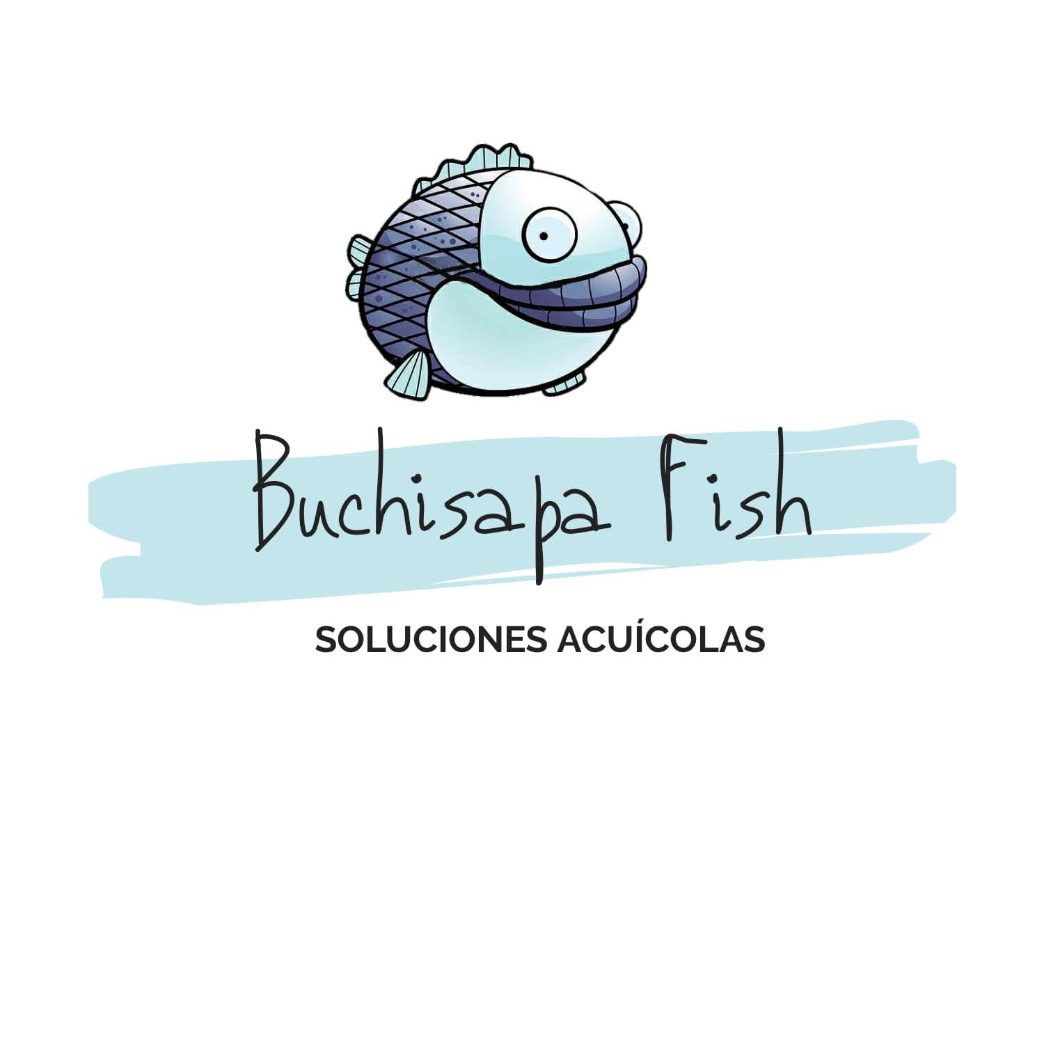 Buchisapa Fish