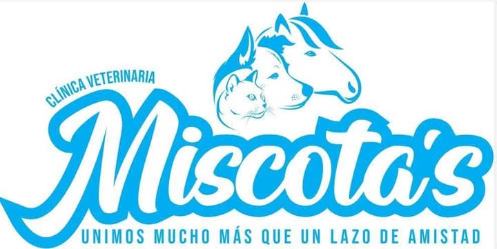 CLINICA VETERINARIA MISCOTAS S.A.C.